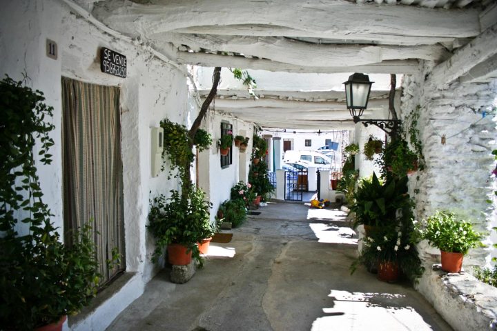 Alpujarras granadinas