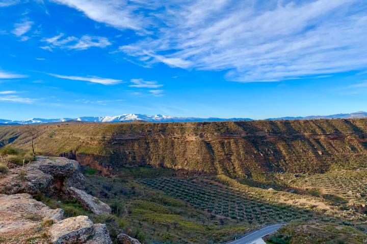 a canyon with trees and grass