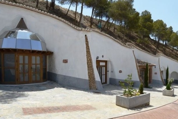 a house with trees in the background