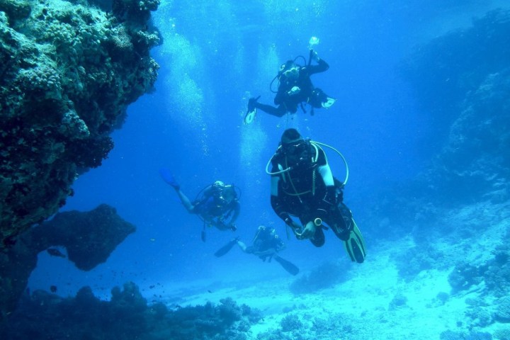 a person swimming underwater